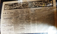 Louisiana Sugar-Bowl - February 10, 1881
