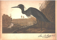 Audubon in Louisiana,  Mrs.Benjamin C. Toledano, editor