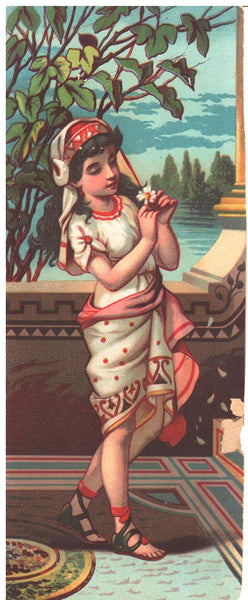 1884 World's Fair, New Orleans, Louisiana - Advertising card