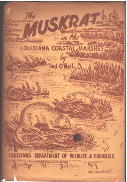 The Muskrat in the Louisiana Coastal Marshes by Ted O'Neil